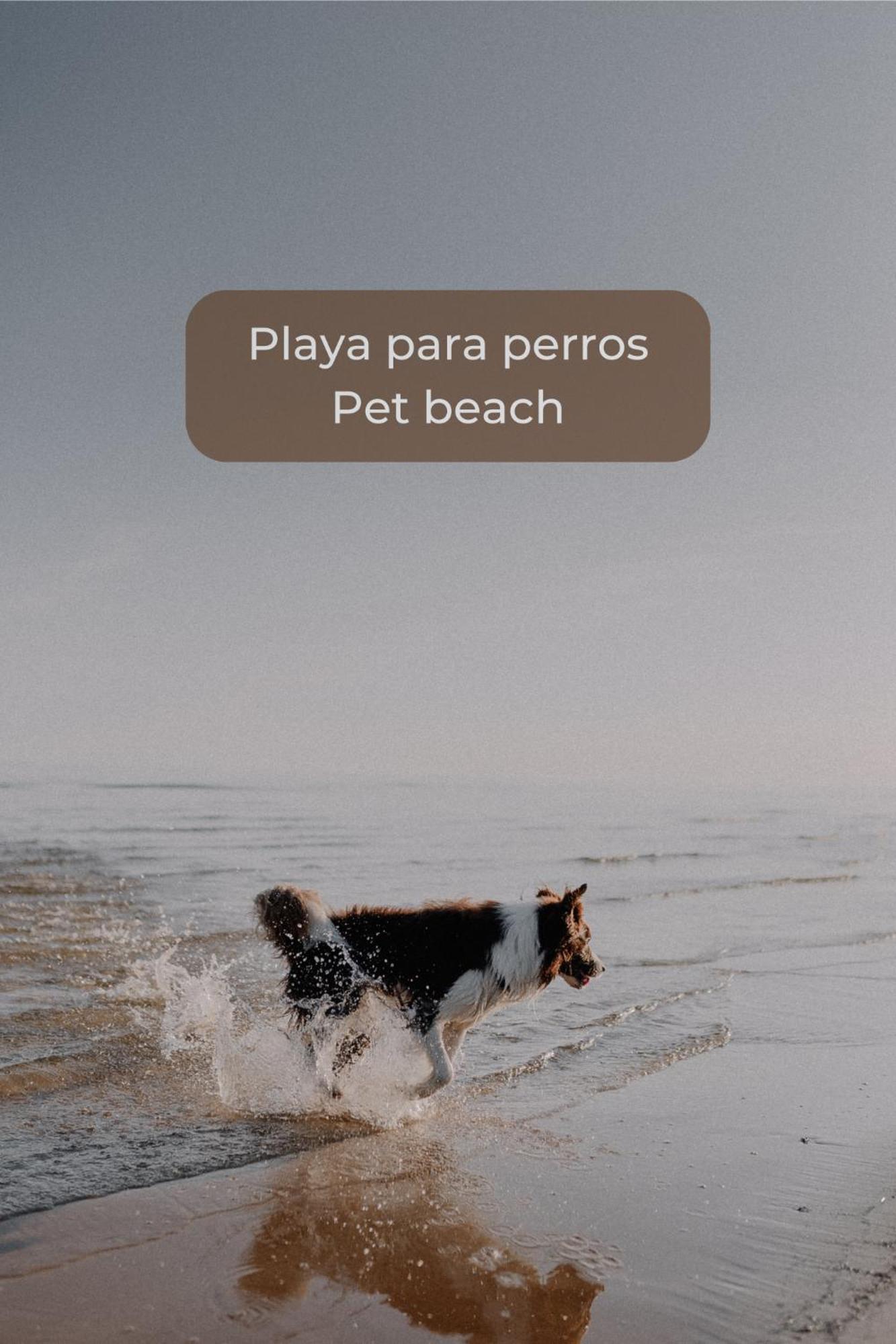 Canelita Con Piscina, Soleada Terraza Amplia Wifi Y Parking كوراليهو المظهر الخارجي الصورة